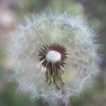 如何在红宝石赌场中赢得更多:技巧与策略分享 10tn1s