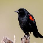 如何在盈得利娱乐中获得最佳游戏体验与奖励 15zxyypv4f