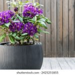 如何在线上娱乐中找到适合自己的娱乐方式与平台 6jm66h7