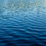 如何在熊猫体育直播在线观看中找到你最爱的比赛直播 c6lx49suyy