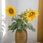 如何在浩博平台上获取更多游戏乐趣与奖励 cv0bymai6