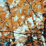 如何在真博娱乐中找到最适合你的游戏体验 v5g8u