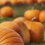 如何在百家乐下注中制定有效的策略与技巧 zruee