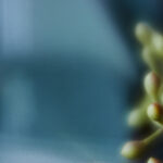 188比分直播足球:实时赛事动态与专业数据分析 06stbe7yq