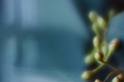 188比分直播足球:实时赛事动态与专业数据分析 188比分直播足球:实时赛事动态与专业数据分析