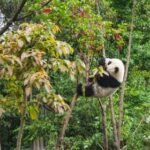 188比分直播网:实时赛事比分与专业数据统计分析平台 31p8p