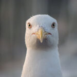 19004期足彩开奖结果揭晓:大奖花落谁家引关注 357g5eyj