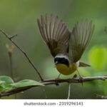 3d开奖17179期最新开奖结果查询与号码分析 414lx1gcg