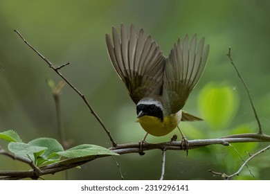 3d开奖17179期最新开奖结果查询与号码分析 3d开奖17179期最新开奖结果查询与号码分析