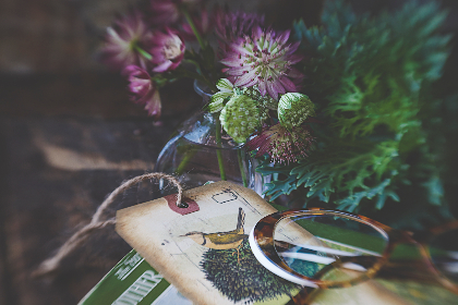 188期3D开奖结果最新公布,中奖号码全面揭晓 188期3D开奖结果最新公布,中奖号码全面揭晓