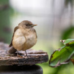 19023期开奖结果震撼揭晓,大奖花落谁家引关注 8ykmkibism