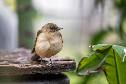 19023期开奖结果震撼揭晓,大奖花落谁家引关注 19023期开奖结果震撼揭晓,大奖花落谁家引关注