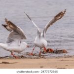 19019期足彩开奖结果正式公布 93uaby6fyr