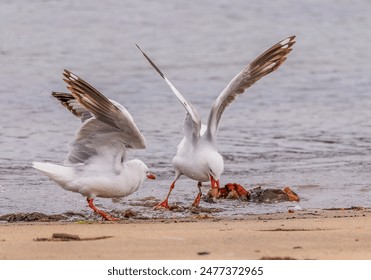 19019期足彩开奖结果正式公布 19019期足彩开奖结果正式公布