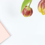 3d开奖169期最新开奖结果查询与号码分析 9ins5n