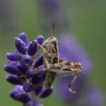 3d开奖151期最新结果公布完整版 a115ziyce