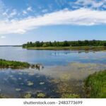 19018期开奖号码已公布,快来看看你中奖了吗? ayzvx9h