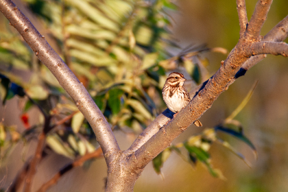19008期福彩开奖结果公布，幸运号码揭晓