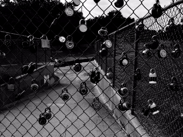 3D开奖1000期历史走势图全面分析与预测