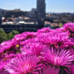 19021期足彩开奖结果正式公布 go5c9