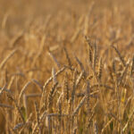 19007期开奖结果揭晓:最新中奖号码与惊喜大奖公布 i09q4rqkc3