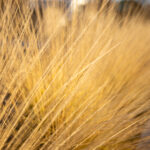 19008期大乐透开奖结果揭晓,大奖花落谁家? krzmy