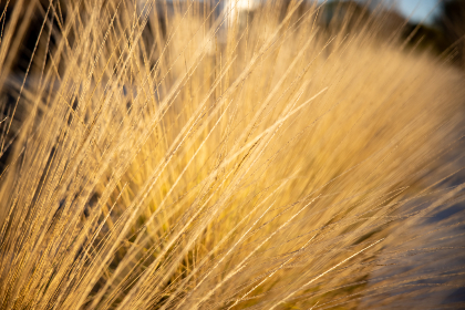 19008期大乐透开奖结果揭晓,大奖花落谁家? 19008期大乐透开奖结果揭晓,大奖花落谁家?