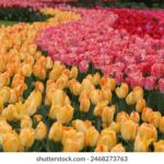 3d开奖110前后关系全方位深度解析与详细走势图 lw5yzn