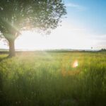 19016期开奖号码公布,幸运数字揭晓 y5j6581